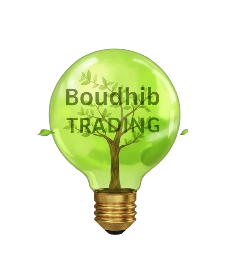 Boudhib Trading Solutions Energy Industry